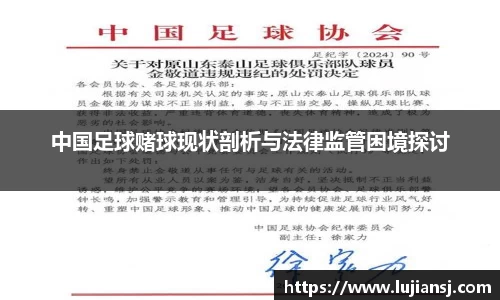 中国足球赌球现状剖析与法律监管困境探讨